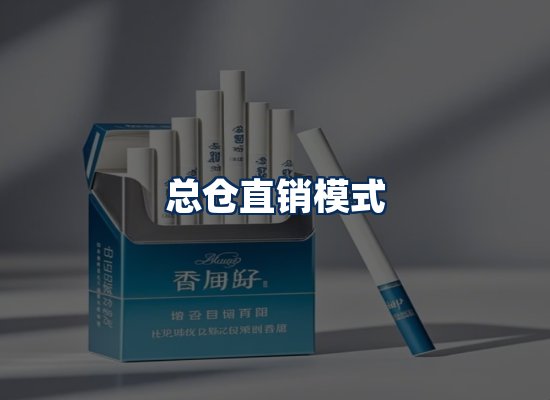 专业团队办公环境